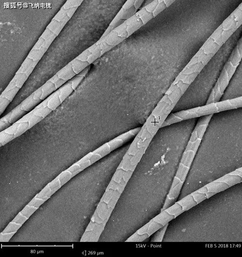 媽媽再也不擔心我買到假的羊絨圍巾